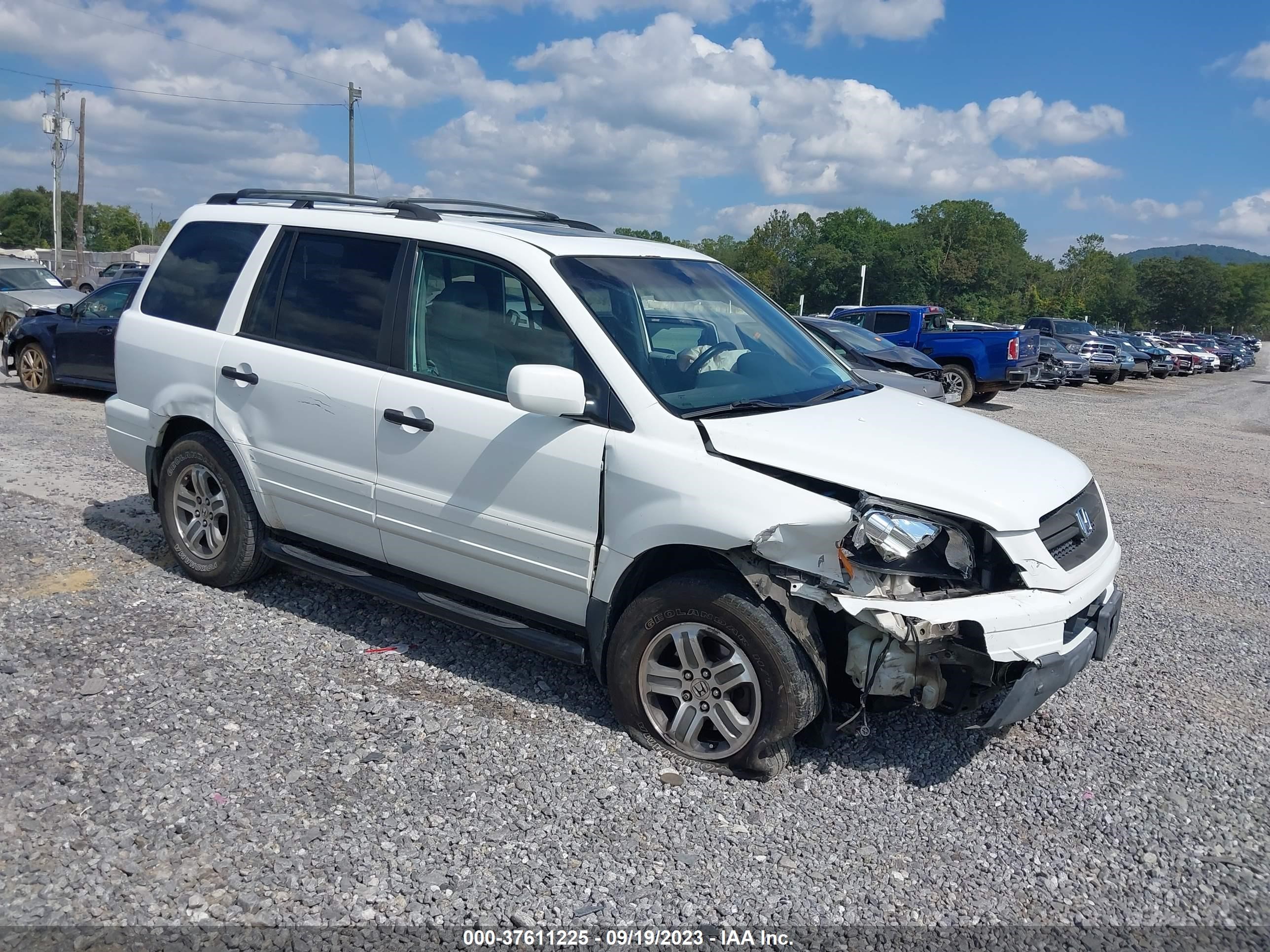 HONDA PILOT 2005 5fnyf18585b043064