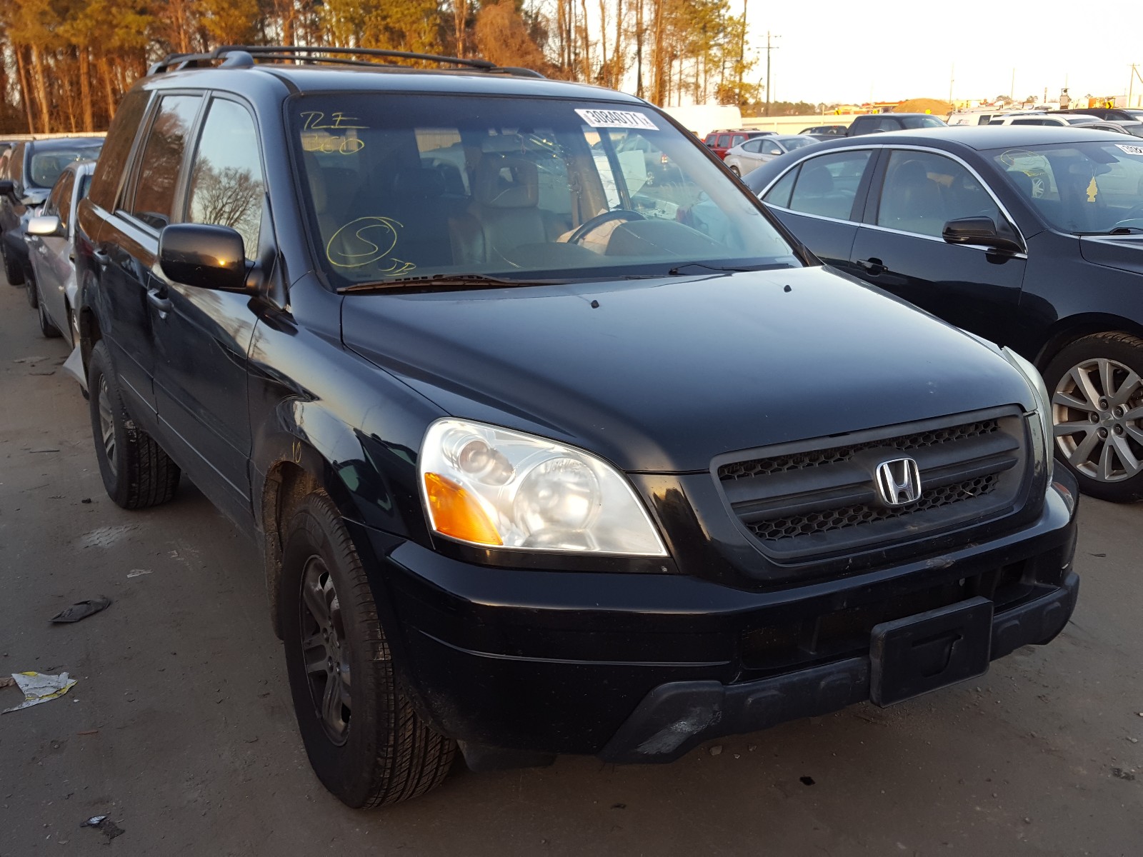 HONDA PILOT EXL 2005 5fnyf18595b017024