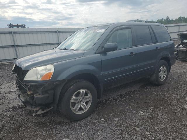 HONDA PILOT EXL 2005 5fnyf18595b042215