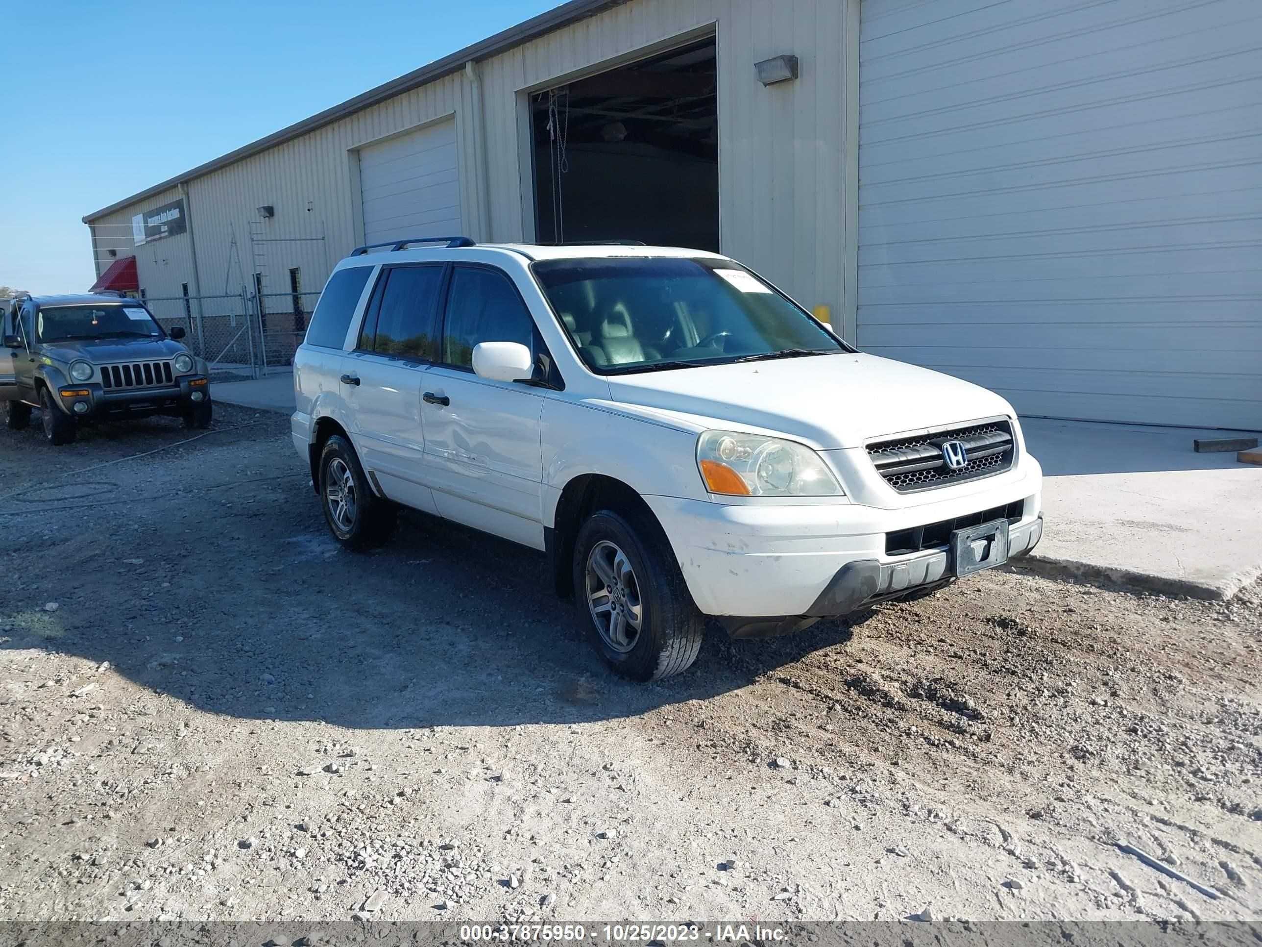 HONDA PILOT 2005 5fnyf18595b054607