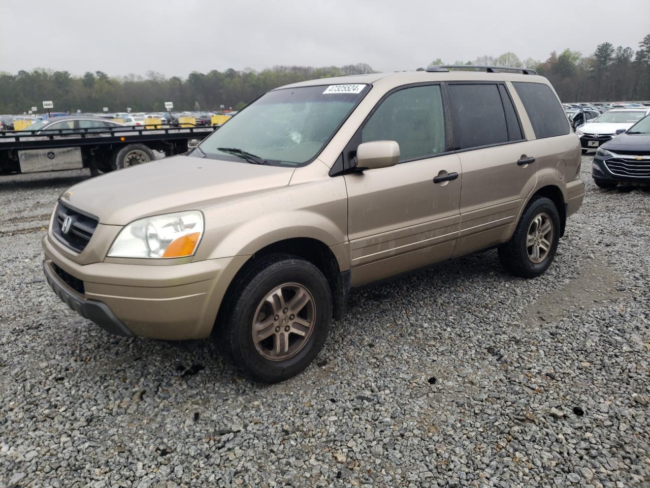 HONDA PILOT 2005 5fnyf185x5b014844