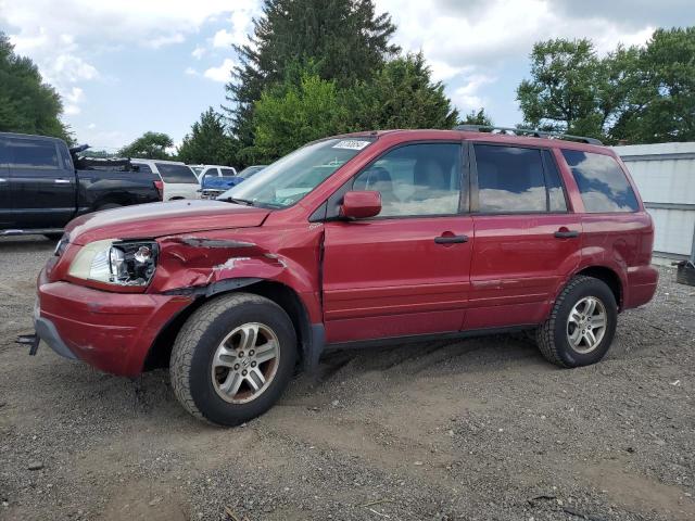 HONDA PILOT EXL 2005 5fnyf185x5b053370