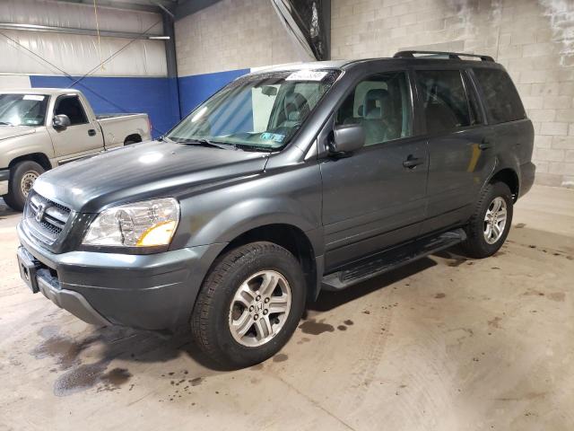 HONDA PILOT 2005 5fnyf185x5b065129