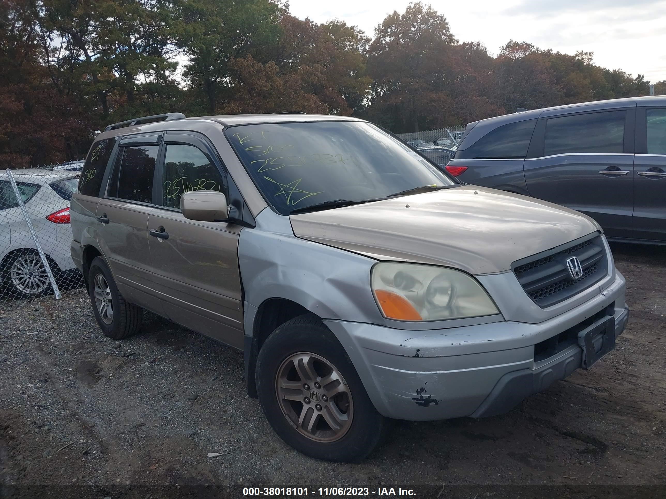 HONDA PILOT 2005 5fnyf18605b020970