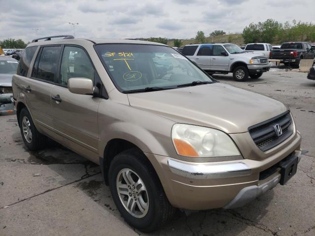 HONDA PILOT EXL 2005 5fnyf18605b062197