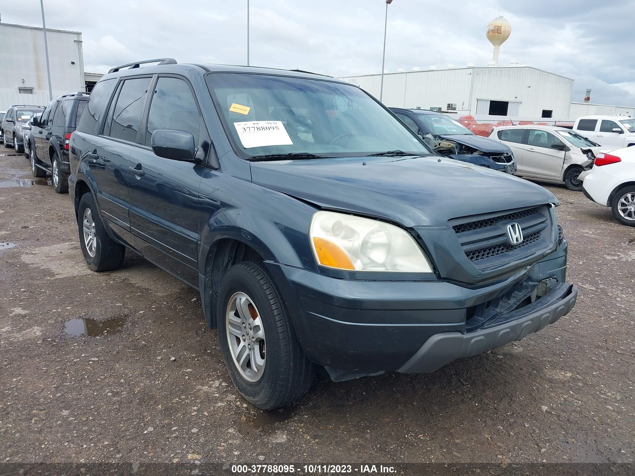 HONDA PILOT 2005 5fnyf18615b029063