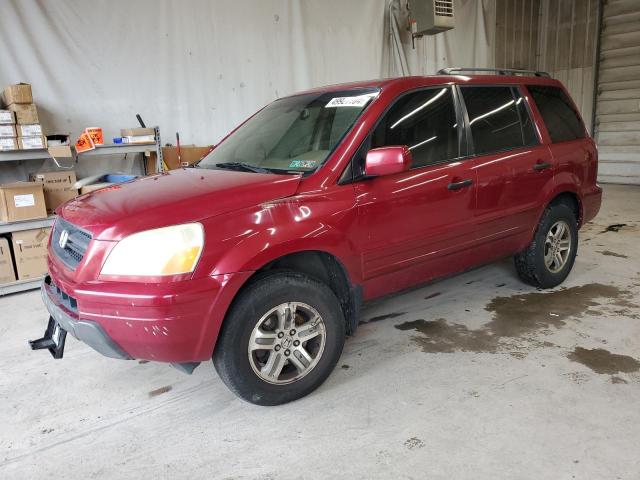 HONDA PILOT 2005 5fnyf18615b029550