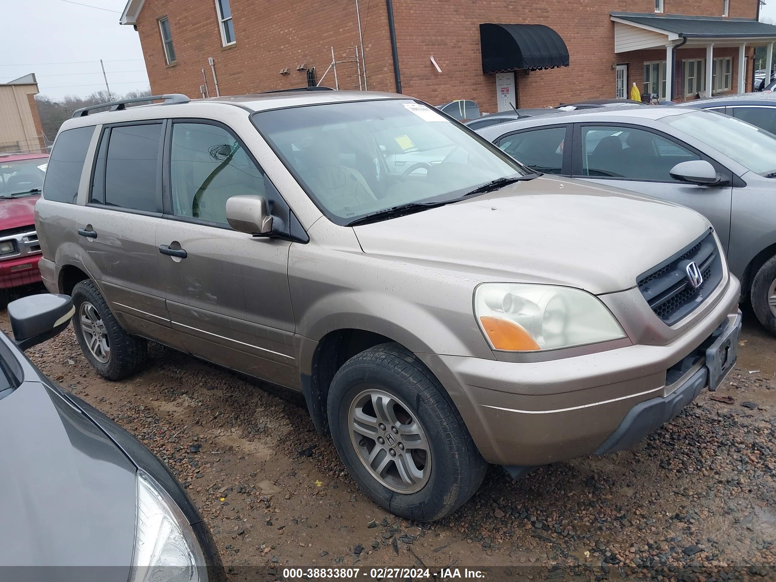 HONDA PILOT 2005 5fnyf18615b032240