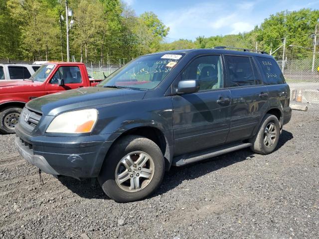 HONDA PILOT 2005 5fnyf18615b035493