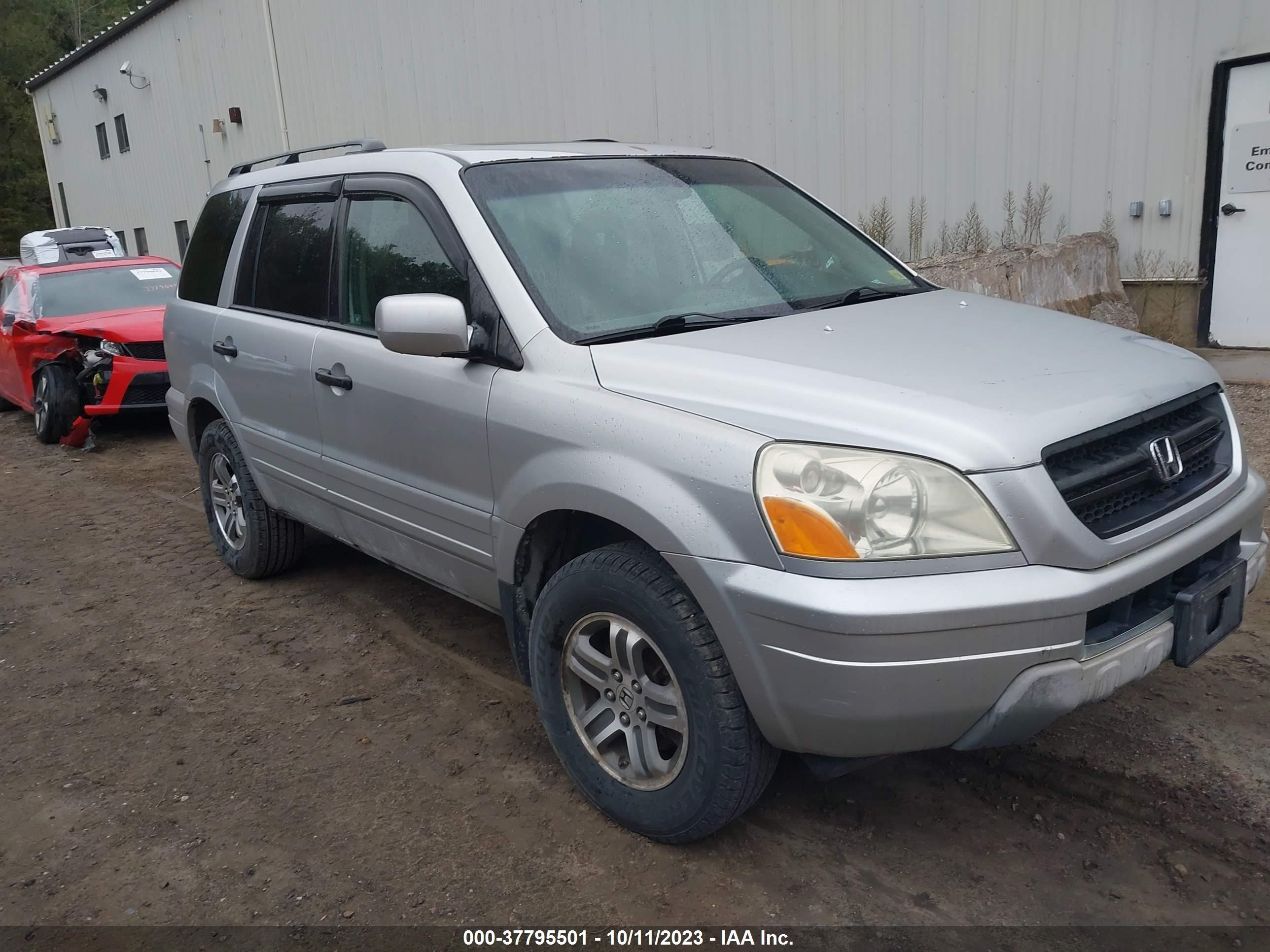 HONDA PILOT 2005 5fnyf18615b062757