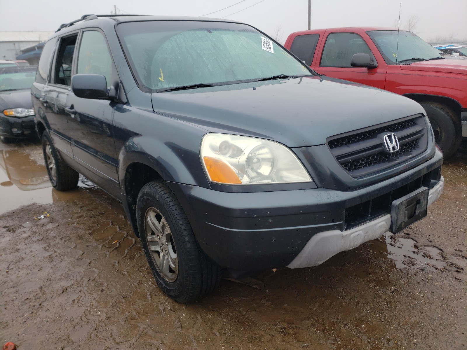 HONDA PILOT EXL 2004 5fnyf18624b007314