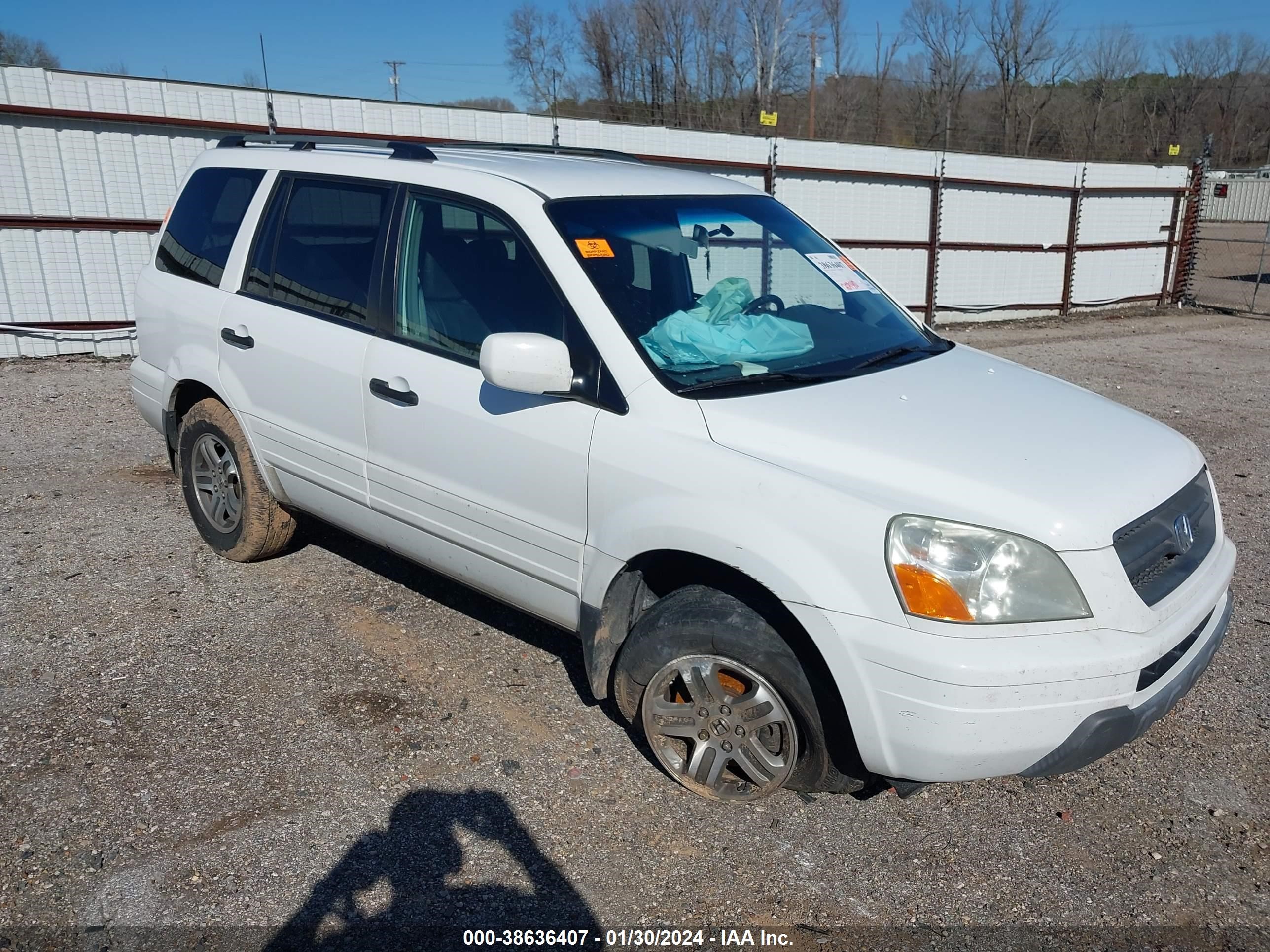 HONDA PILOT 2004 5fnyf18624b010391