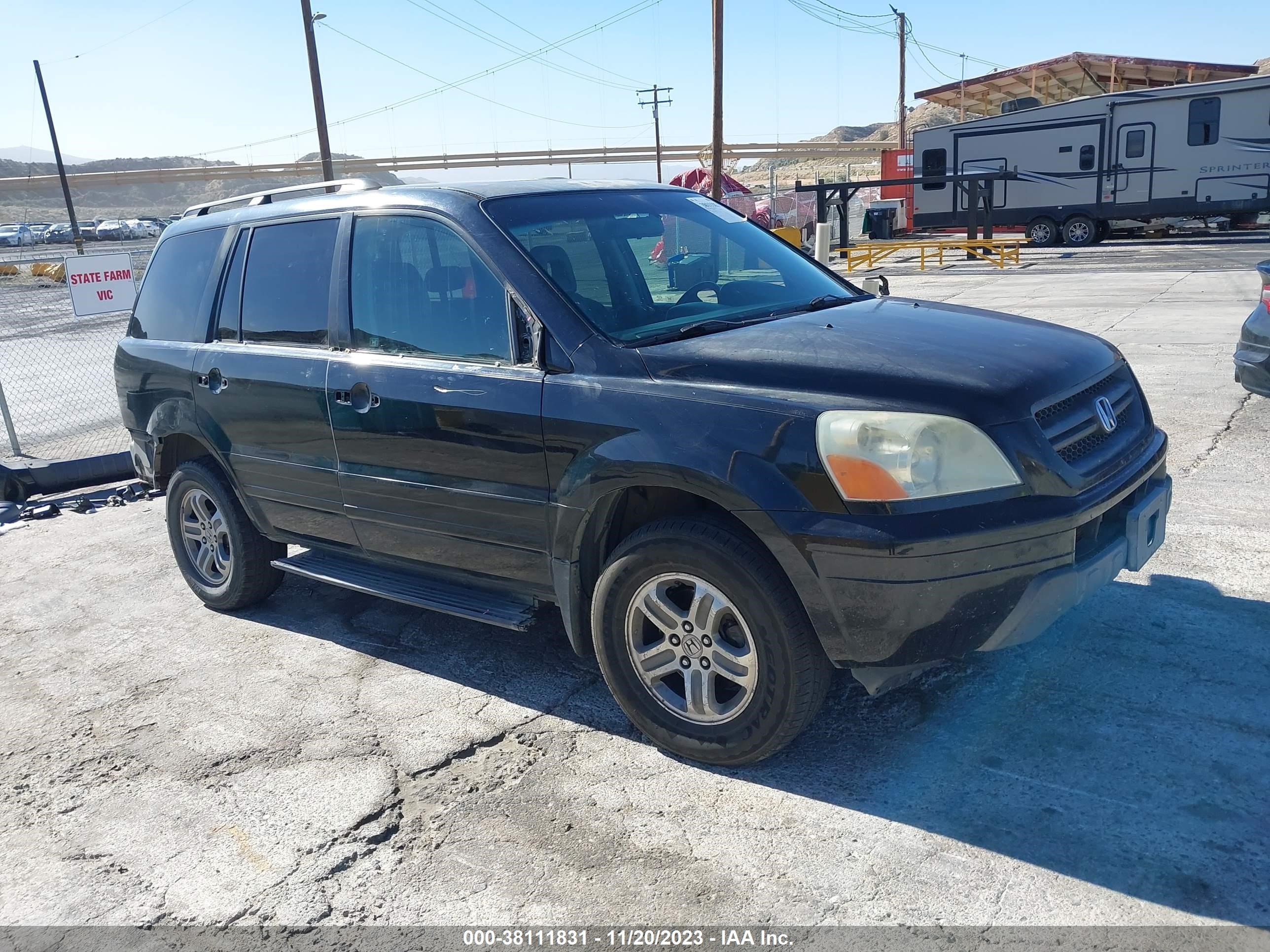 HONDA PILOT 2005 5fnyf18625b015916