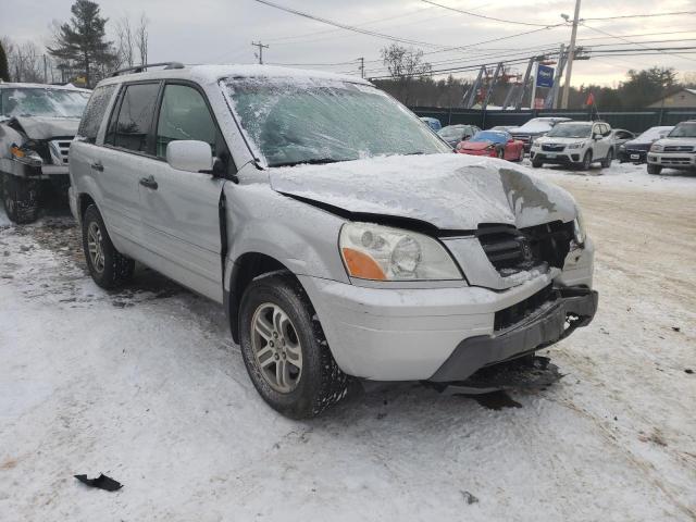 HONDA PILOT EXL 2005 5fnyf18625b056093