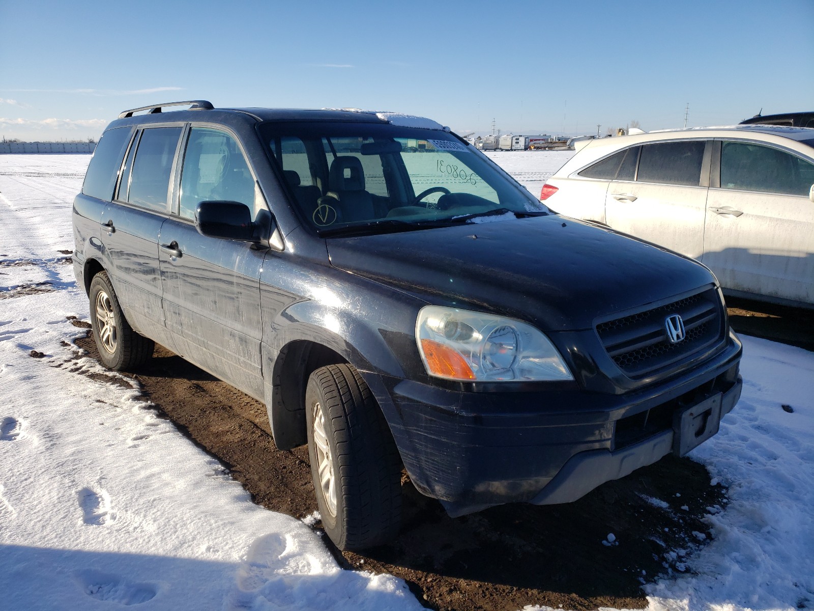 HONDA PILOT EXL 2005 5fnyf18625b062833