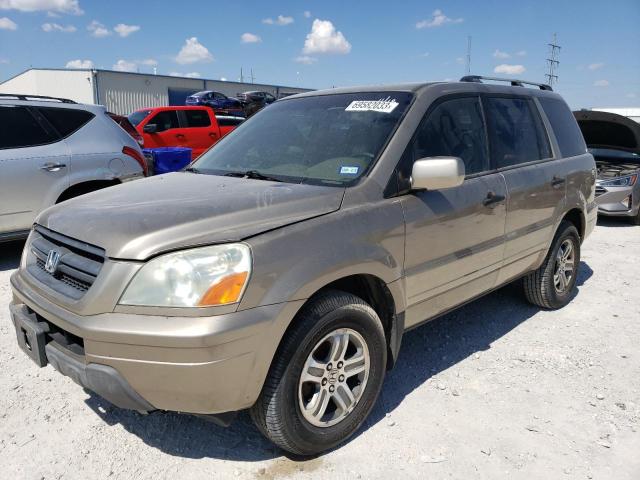 HONDA PILOT EXL 2005 5fnyf18635b011065