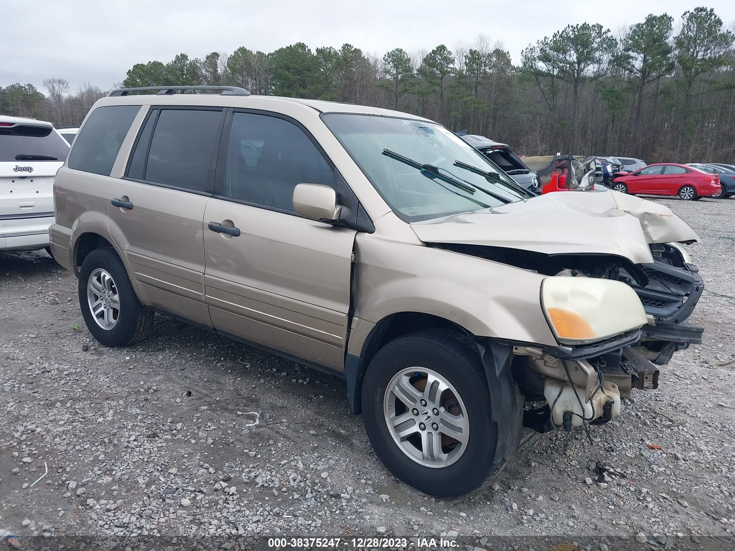 HONDA PILOT 2005 5fnyf18635b028612