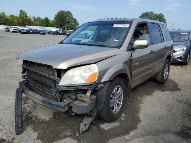 HONDA PILOT EXL 2005 5fnyf18635b060489