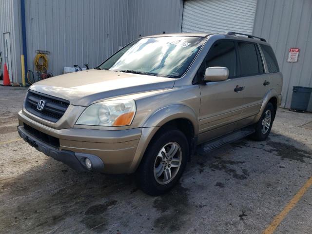 HONDA PILOT 2005 5fnyf18645b013777