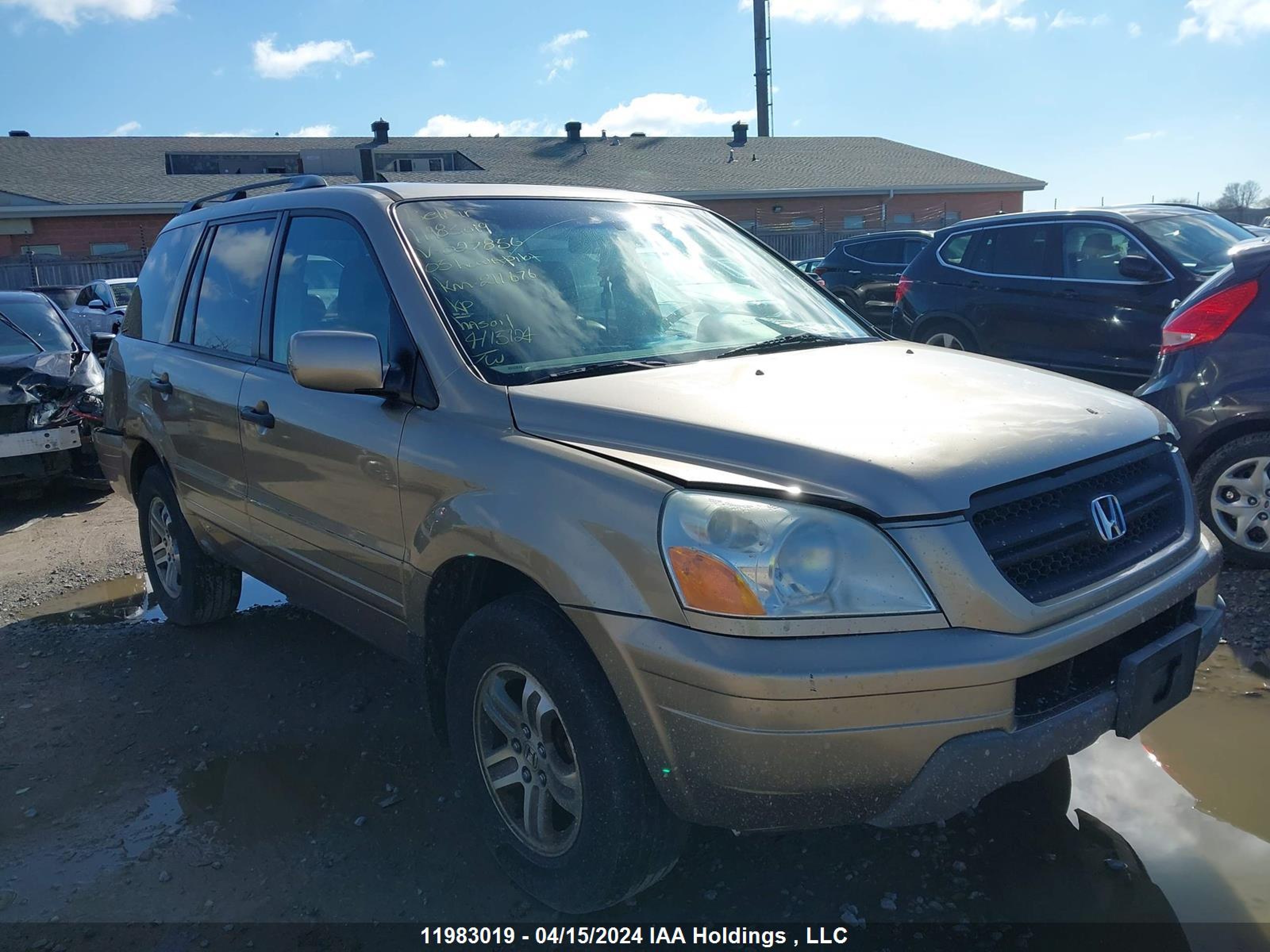 HONDA PILOT 2005 5fnyf18645b027856