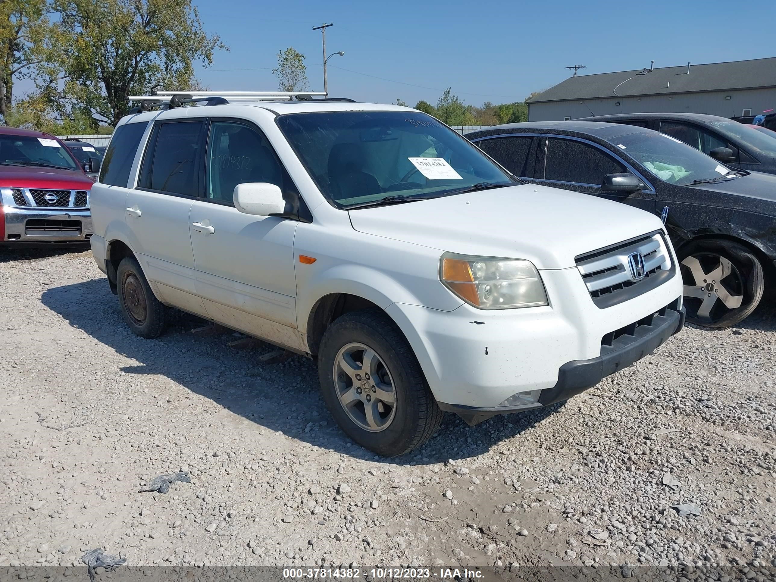 HONDA PILOT 2006 5fnyf18646b018298