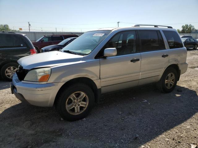 HONDA PILOT EXL 2005 5fnyf18665b024554