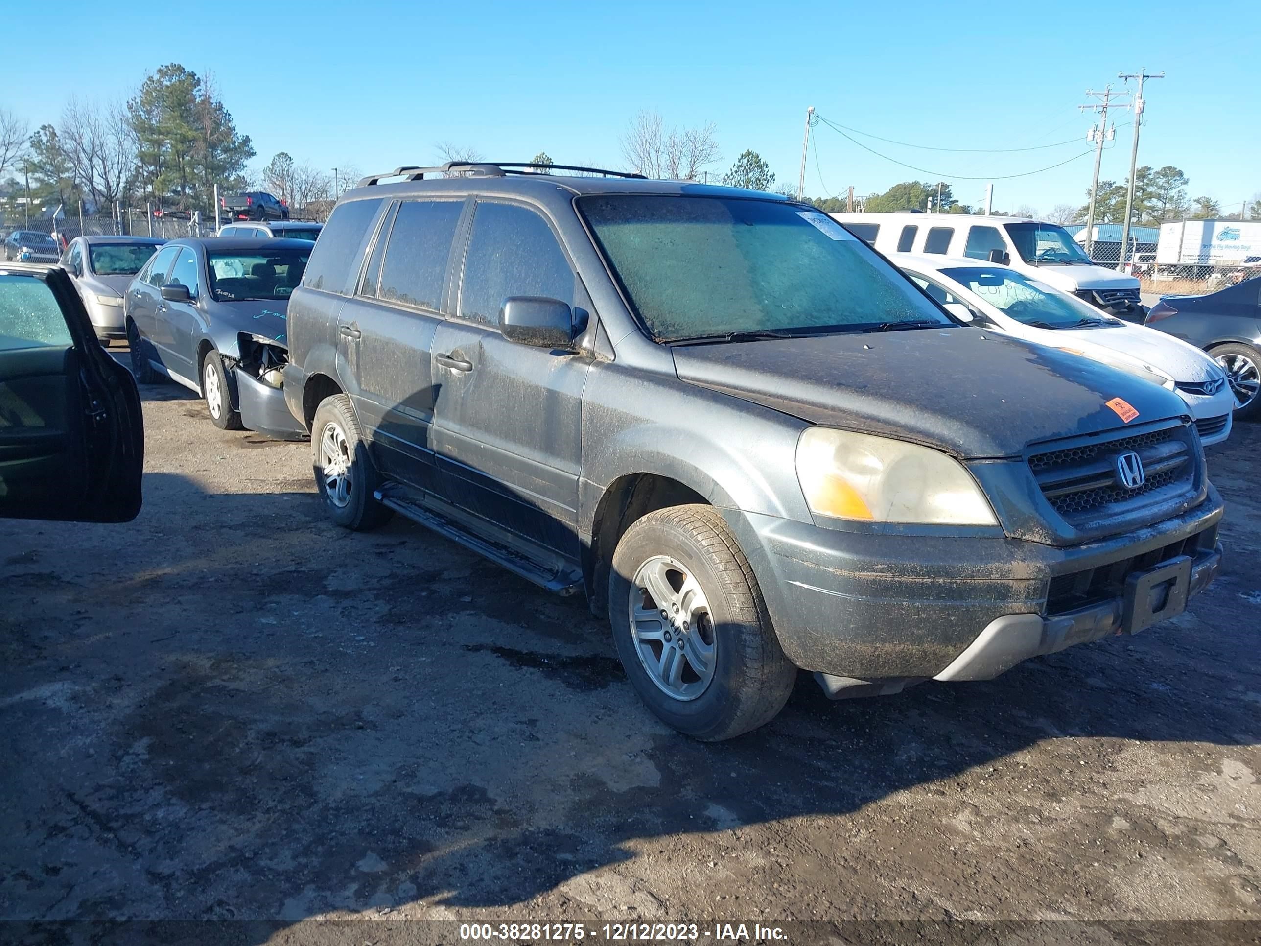 HONDA PILOT 2005 5fnyf18675b003101