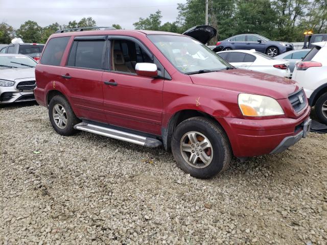 HONDA PILOT EXL 2005 5fnyf18675b029620