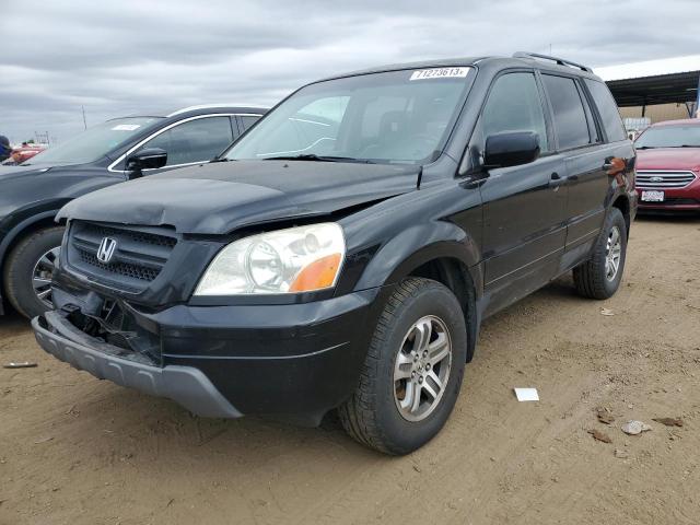 HONDA PILOT EXL 2005 5fnyf18675b061967