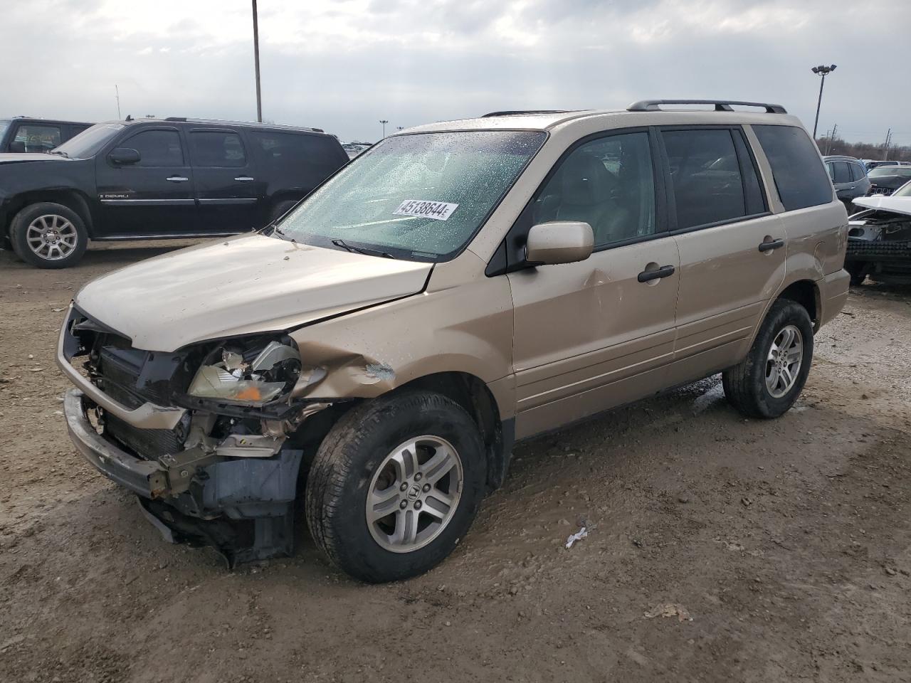 HONDA PILOT 2005 5fnyf18685b018321