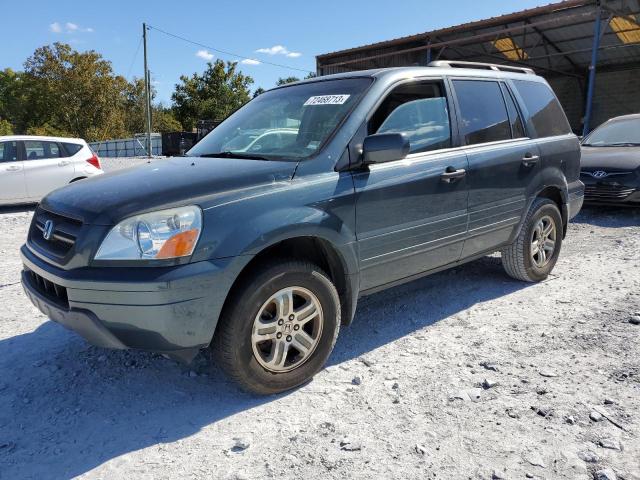 HONDA PILOT EXL 2005 5fnyf18685b036740