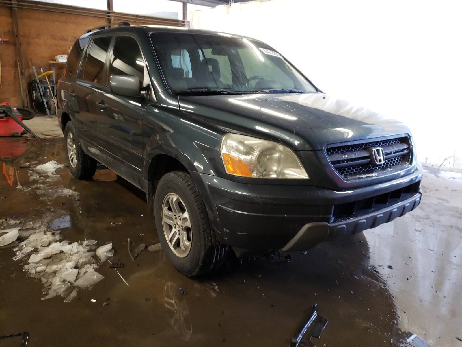 HONDA PILOT EXL 2004 5fnyf18694b009173