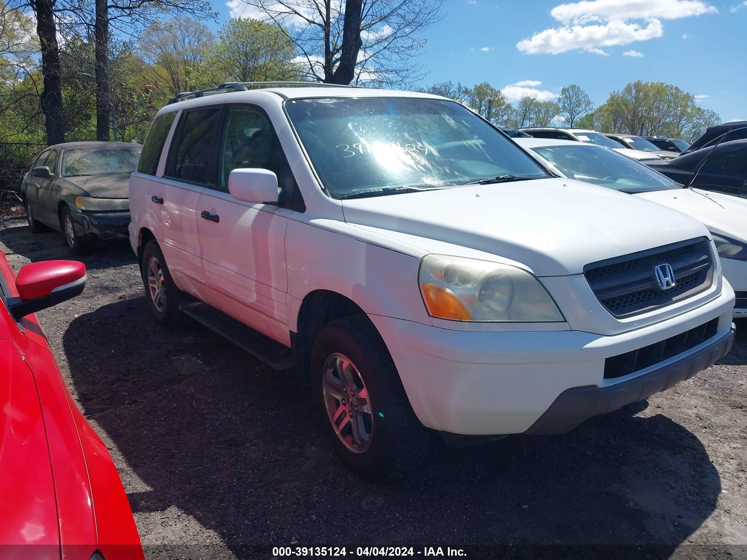 HONDA PILOT 2004 5fnyf18694b010985