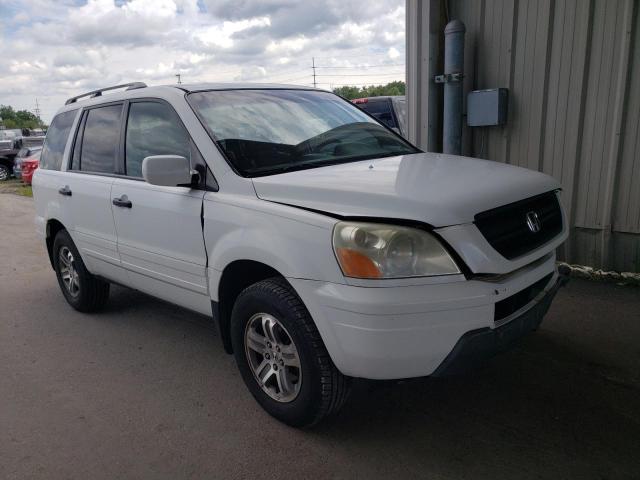 HONDA PILOT 2005 5fnyf18695b013399