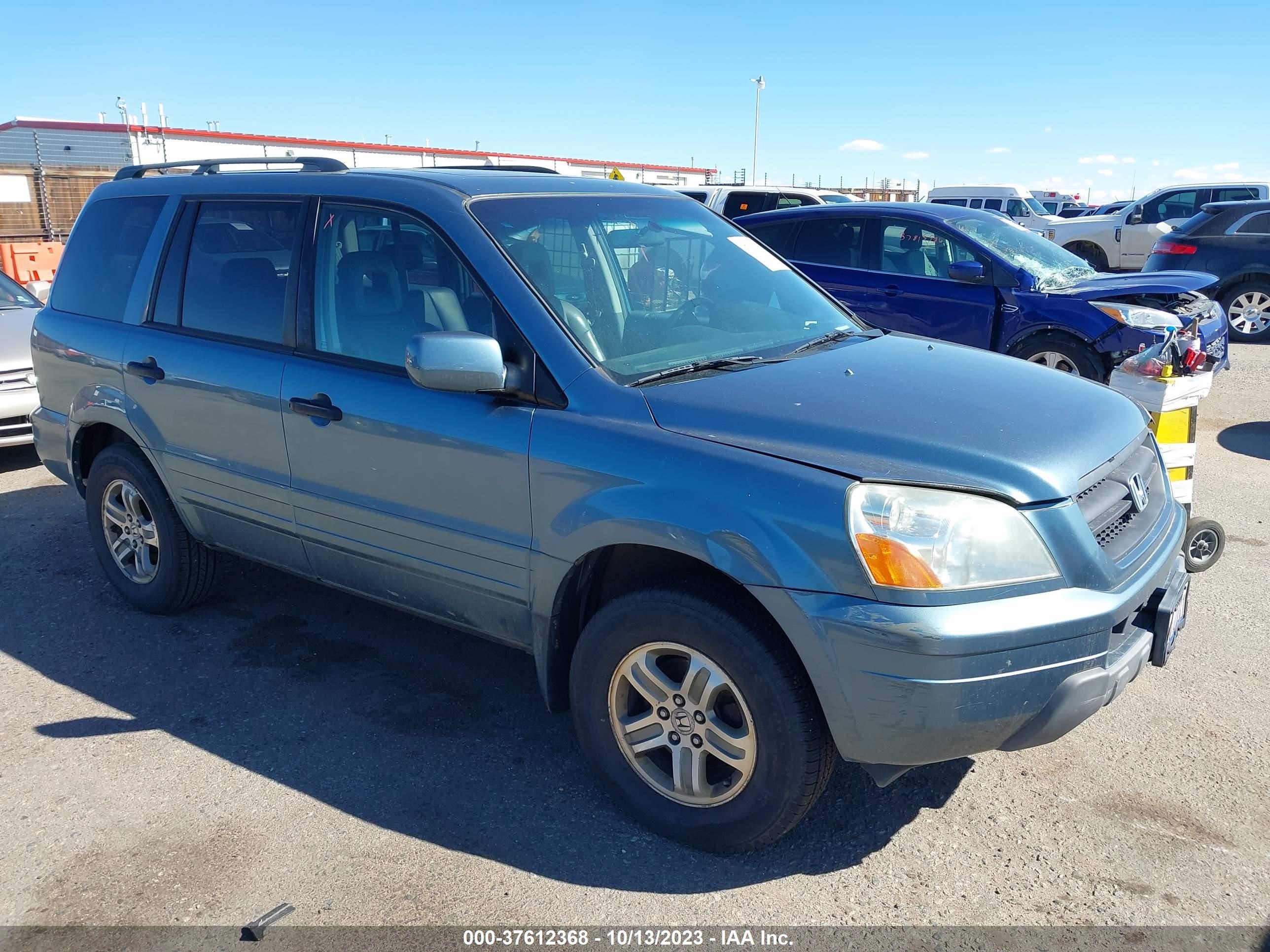 HONDA PILOT 2005 5fnyf18695b049500