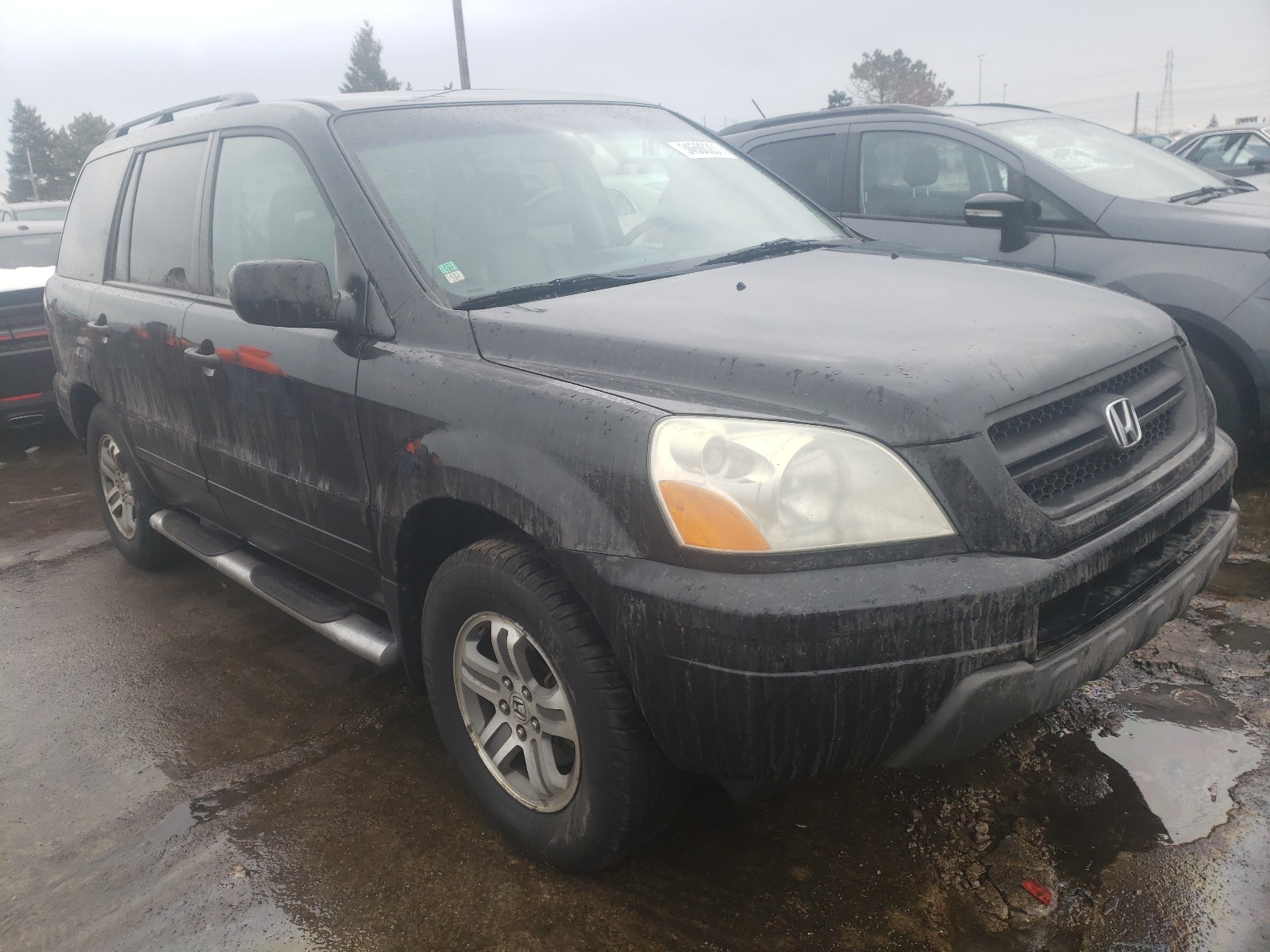 HONDA PILOT EXL 2005 5fnyf186x5b019969