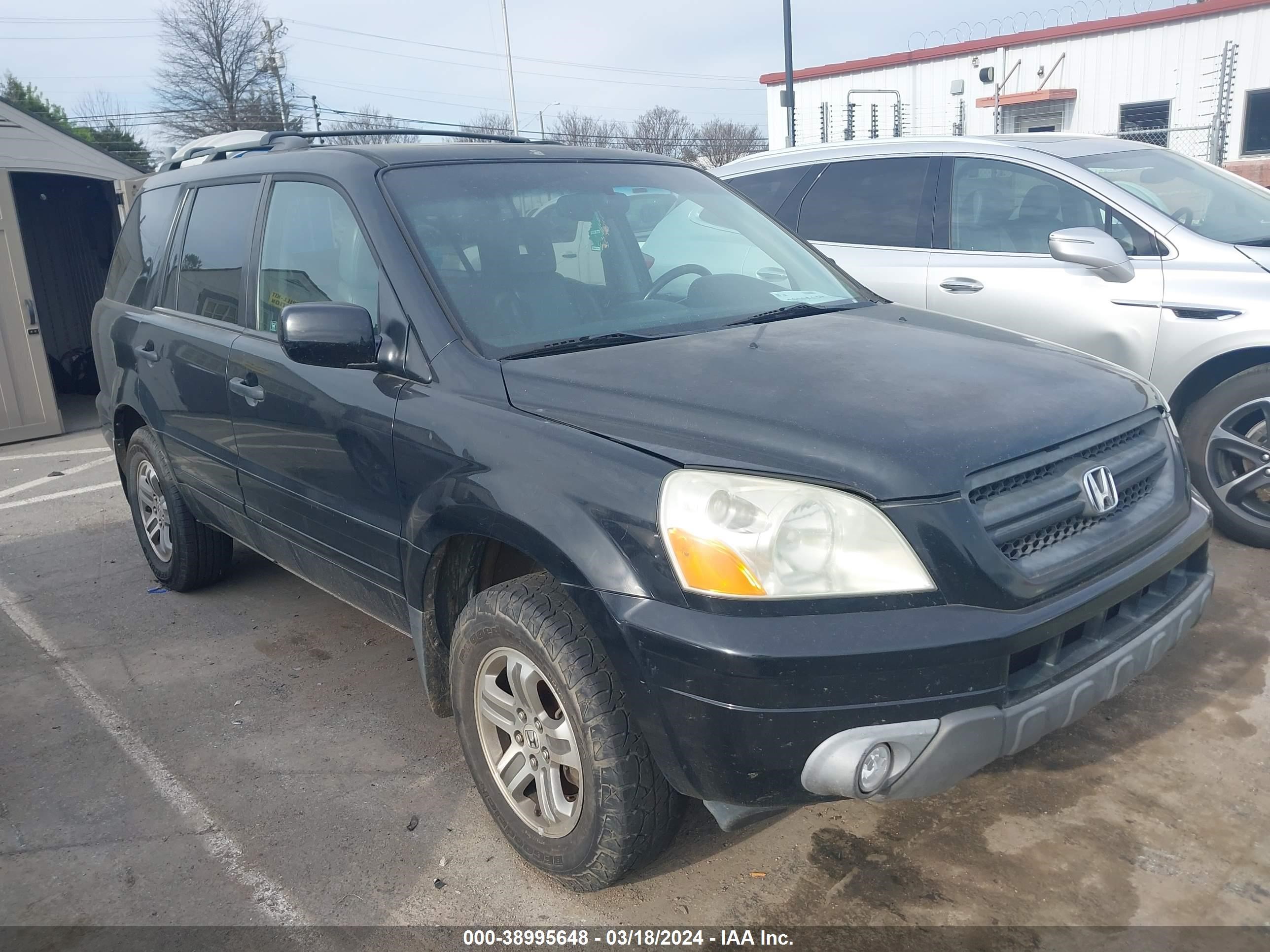 HONDA PILOT 2005 5fnyf186x5b020135