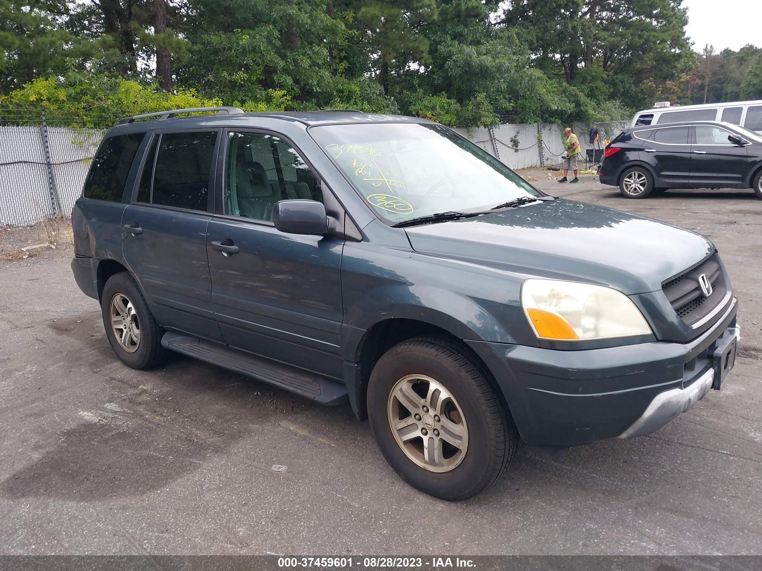 HONDA PILOT 2005 5fnyf186x5b048422