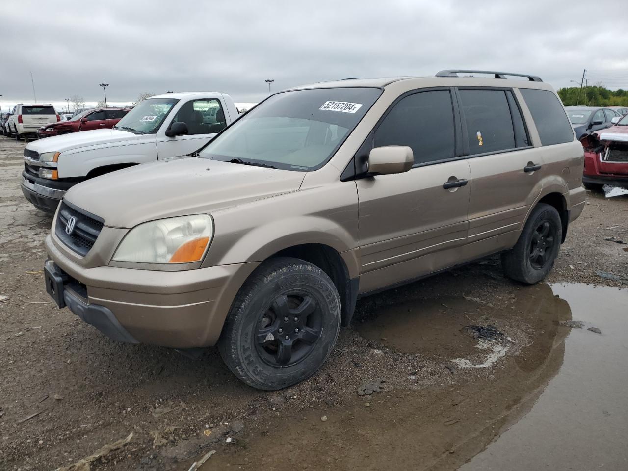 HONDA PILOT 2005 5fnyf186x5b067195