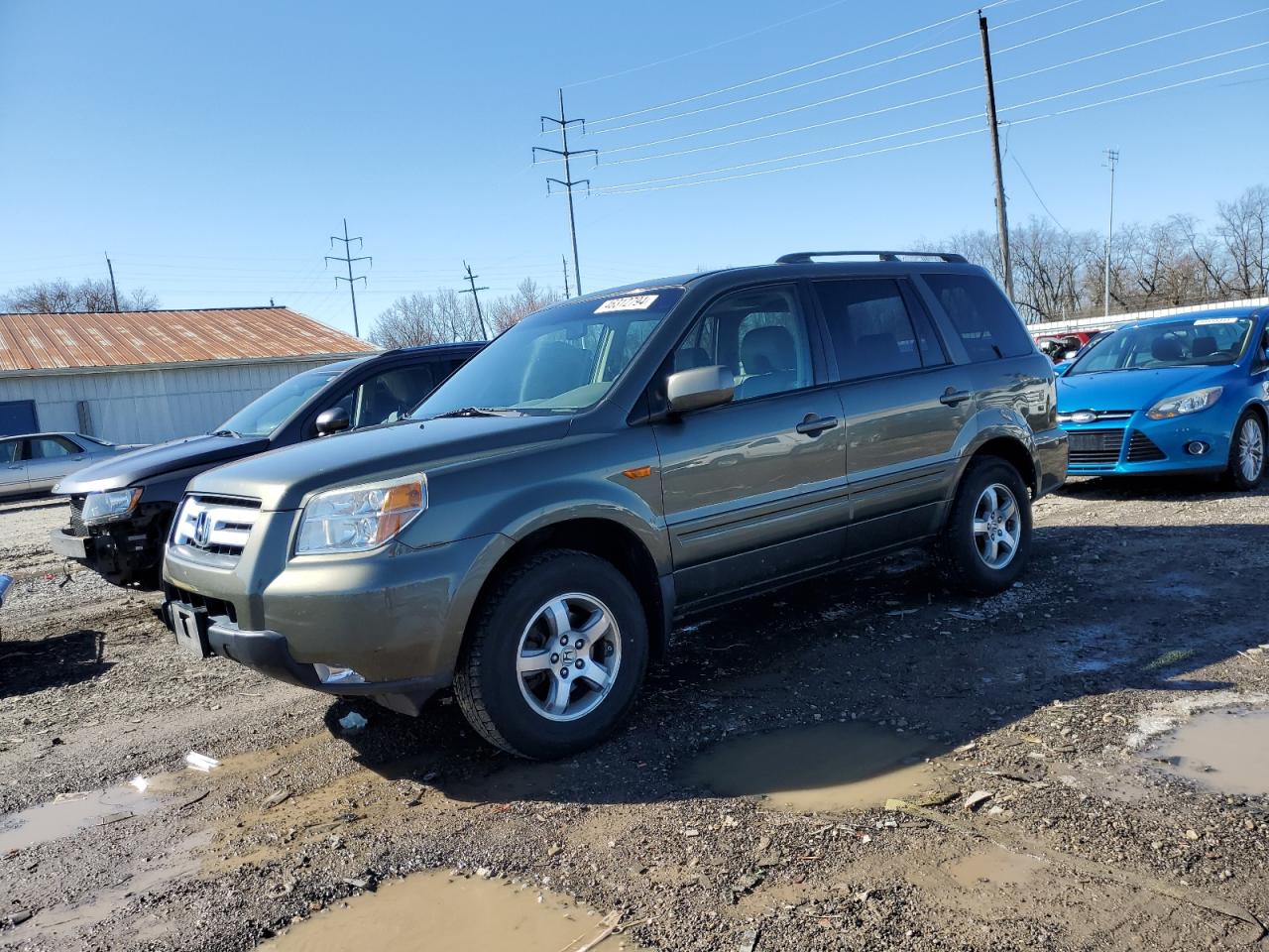 HONDA PILOT 2006 5fnyf18776b023729