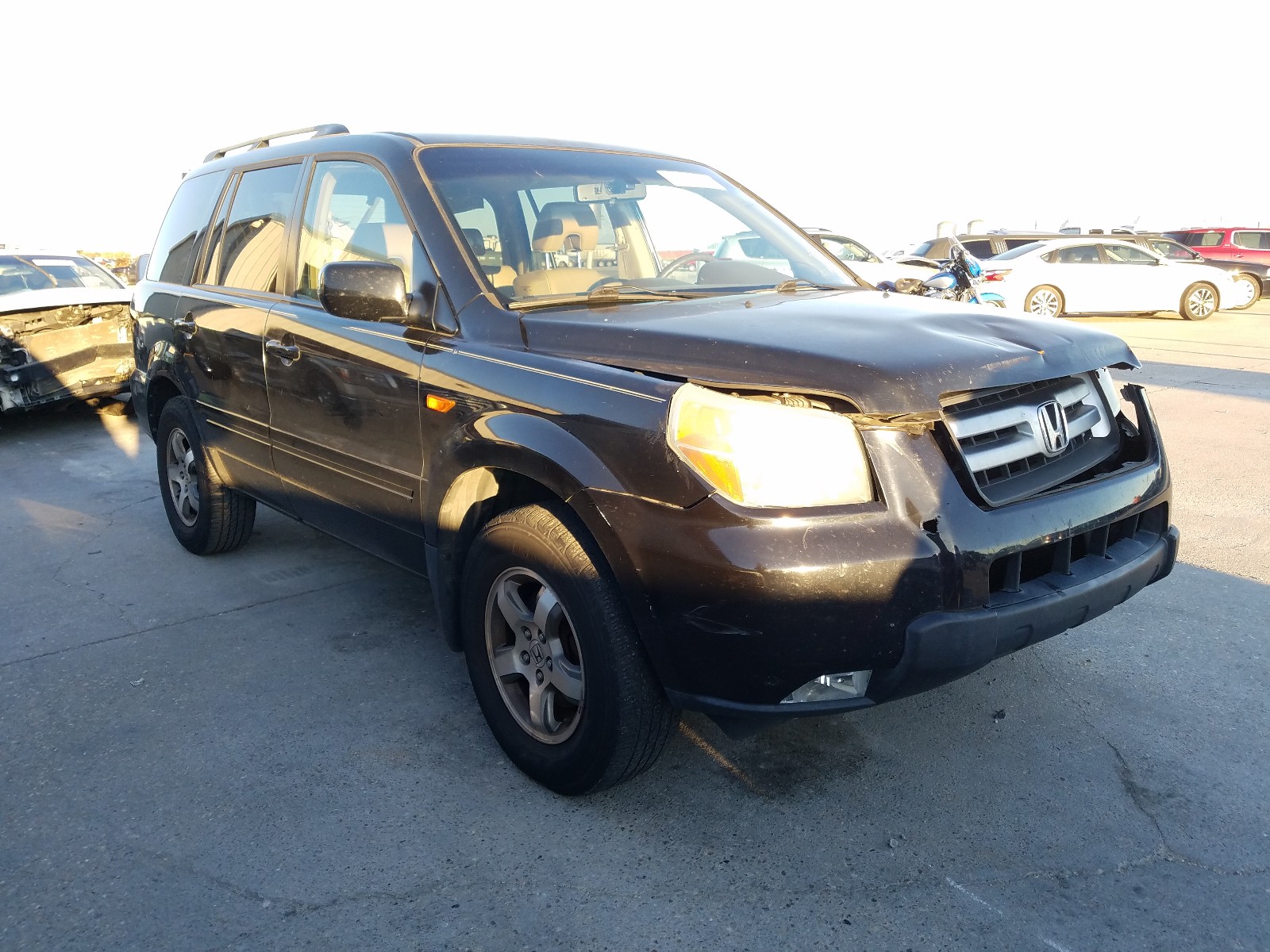 HONDA PILOT EX 2006 5fnyf28556b013687