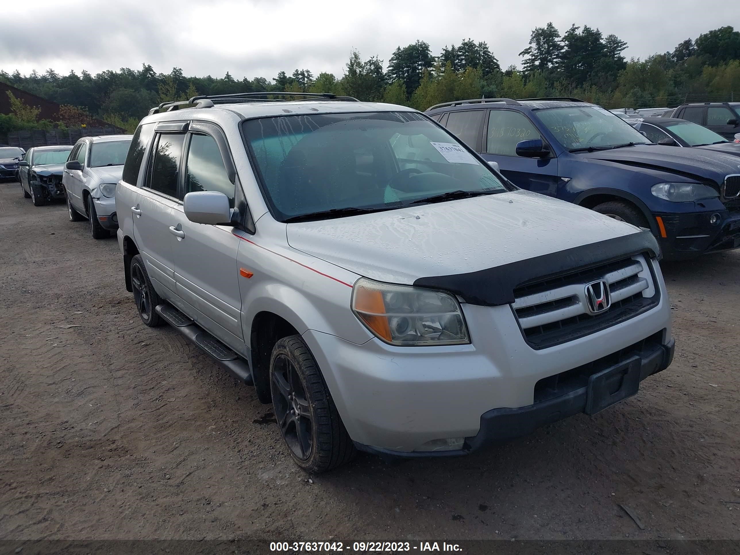 HONDA PILOT 2006 5fnyf28676b003946