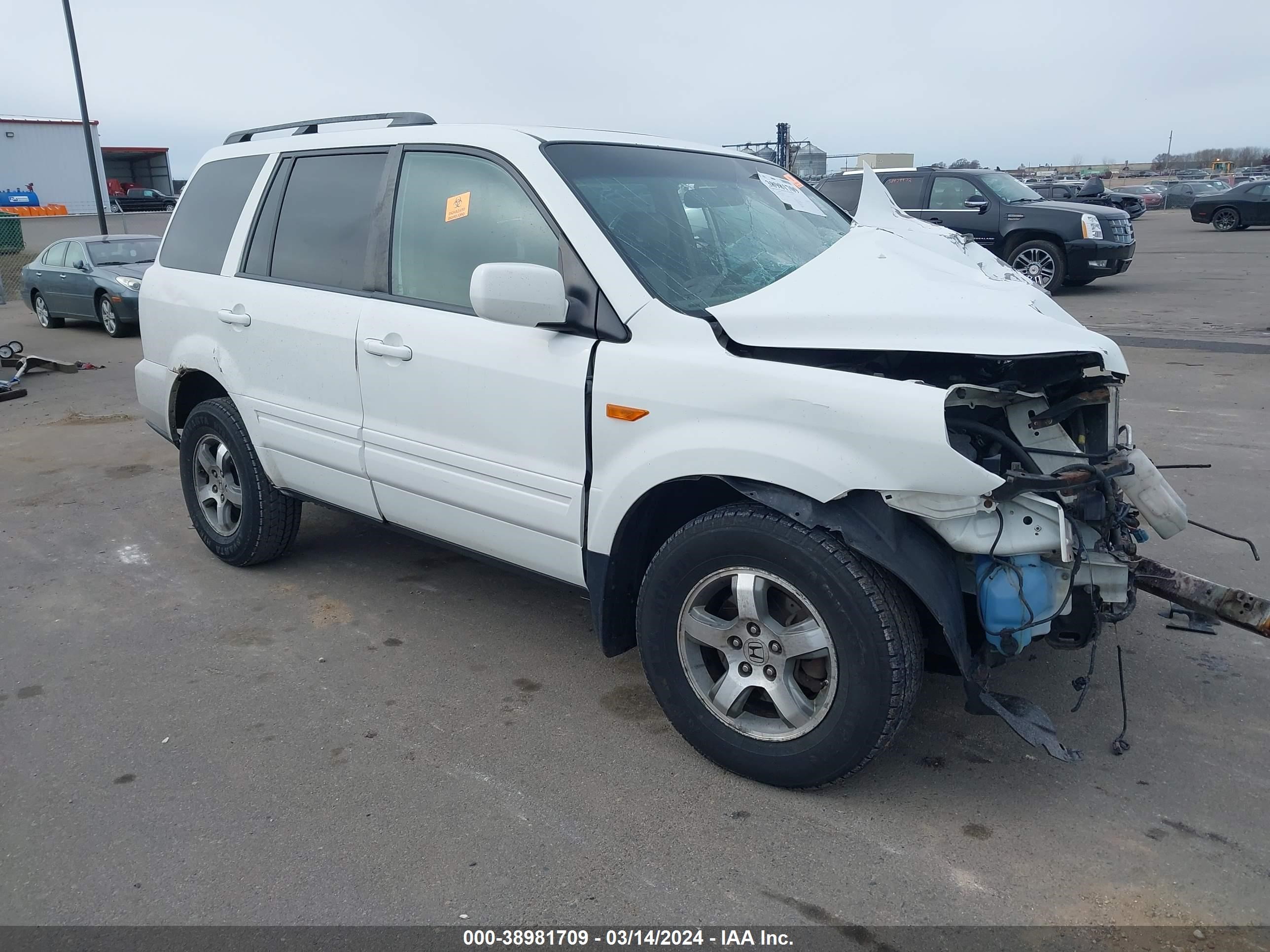 HONDA PILOT 2007 5fnyf28777b030431