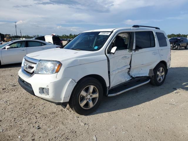 HONDA PILOT EX 2009 5fnyf38429b003670