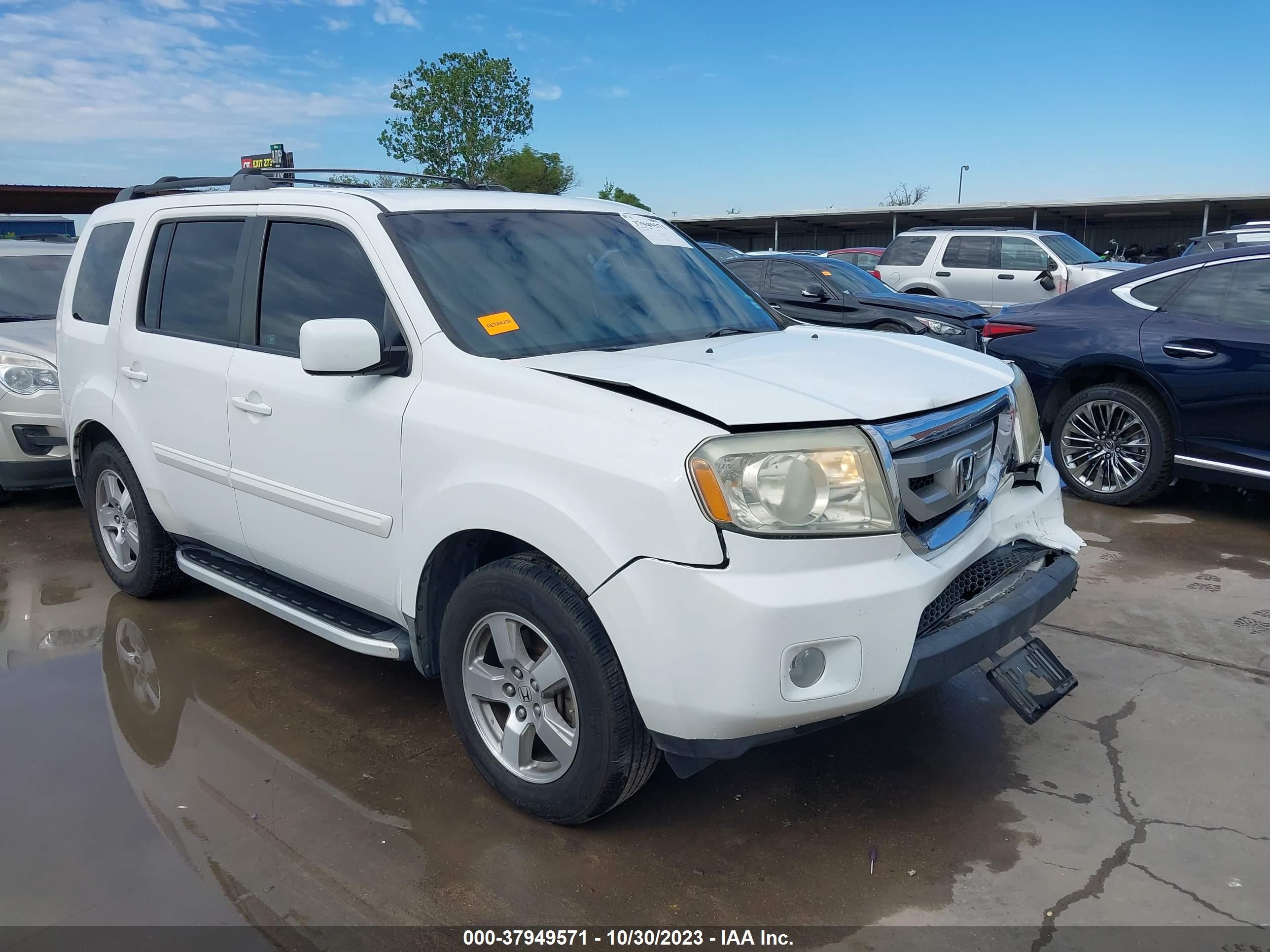 HONDA PILOT 2009 5fnyf38429b020596