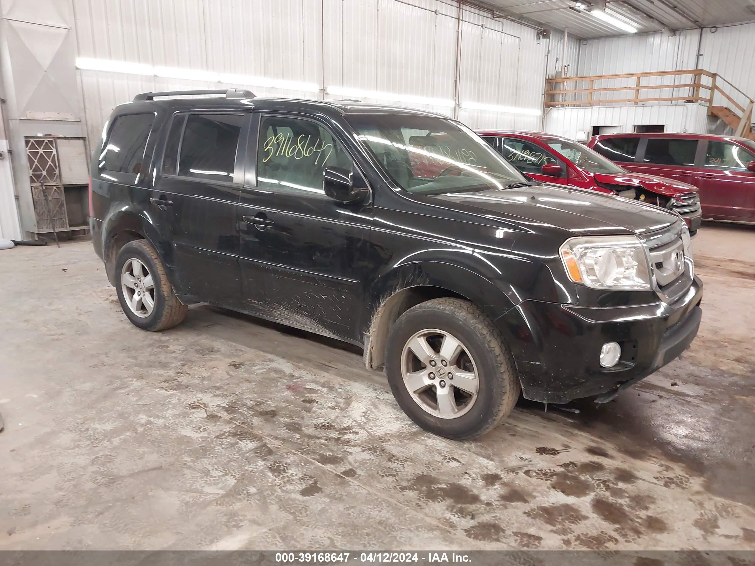 HONDA PILOT 2009 5fnyf38459b010161