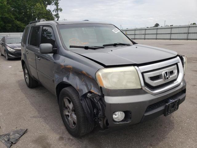 HONDA PILOT EXL 2009 5fnyf38519b027953