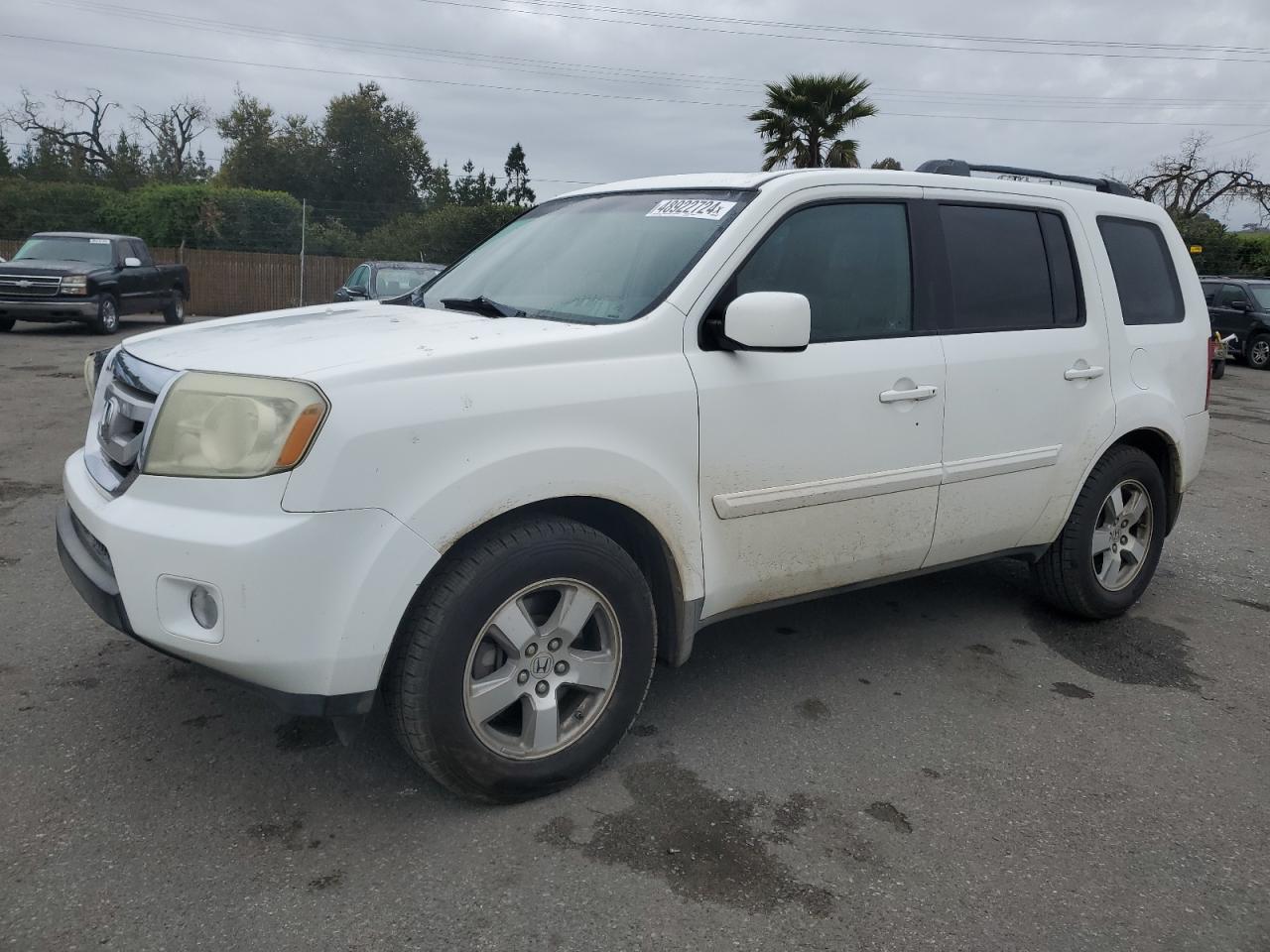 HONDA PILOT 2009 5fnyf38529b015164