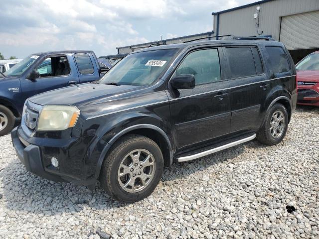 HONDA PILOT EXL 2009 5fnyf38539b014041