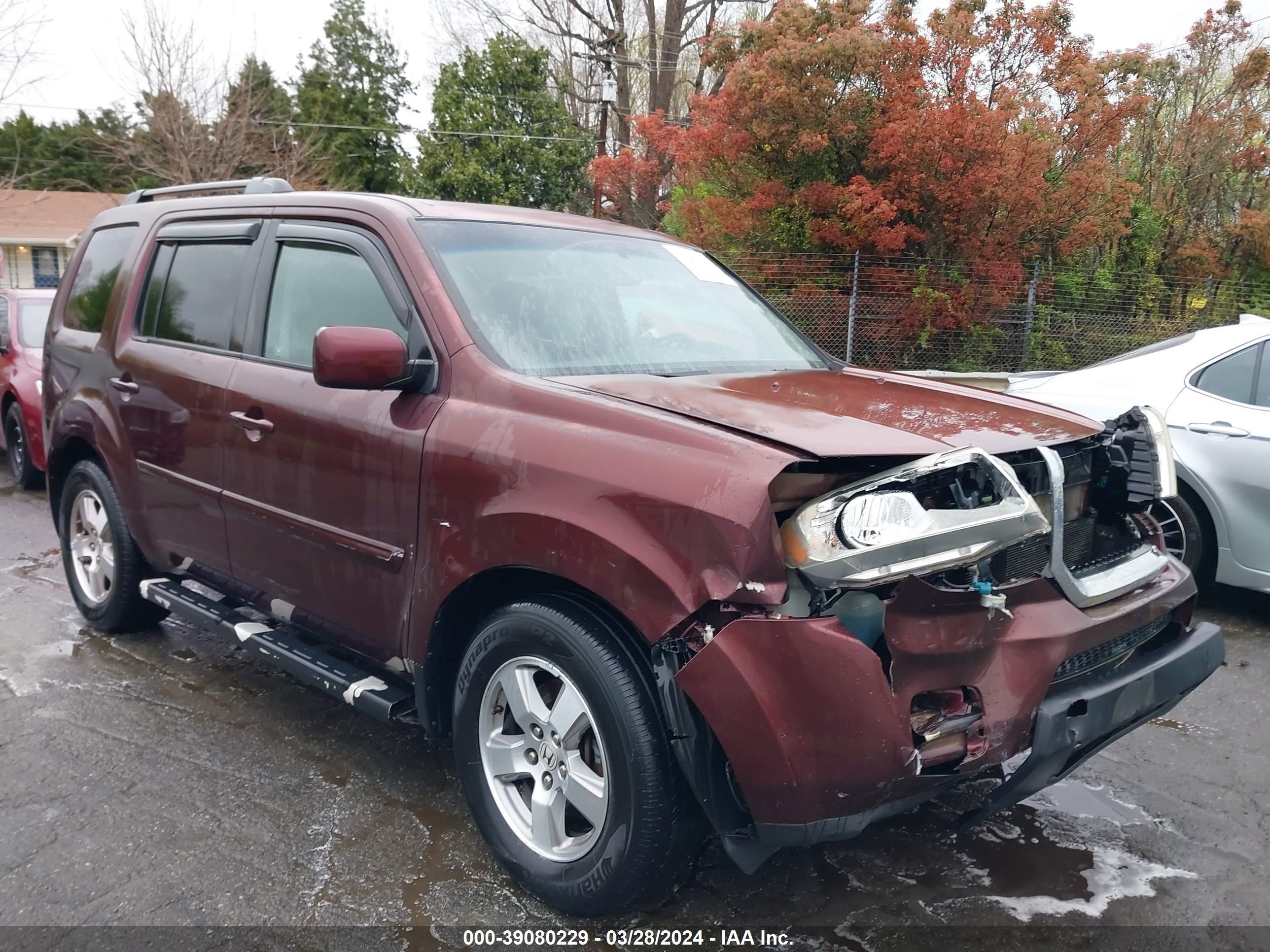 HONDA PILOT 2009 5fnyf38539b027050